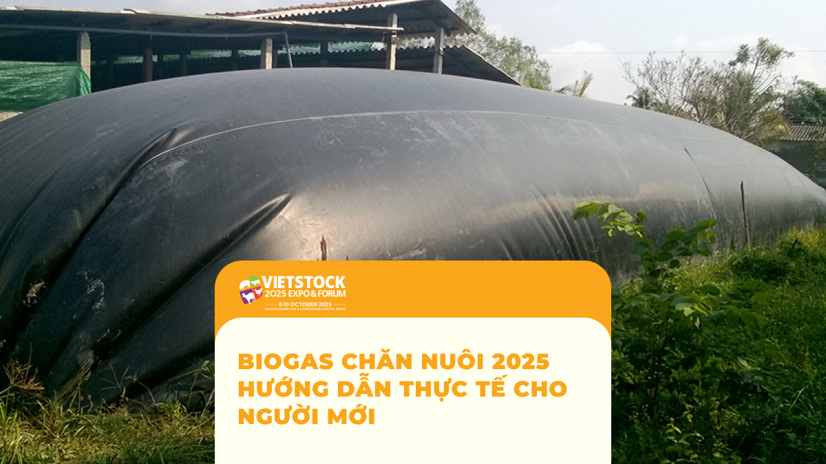 Biogas Chăn Nuôi 2025 Hướng Dẫn Thực Tế Cho Người Mới